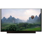 Κίνα Lap-top LCD οθόνη 30 N116BGE EA2 οθόνης/11,6 ίντσα ΠΛΗΡΟΦΟΡΙΚΉ 1366x768 οθόνη lap-top καρφιτσών επιχείρηση